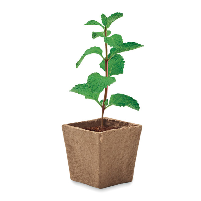 Biologisch afbreekbare bloempot - Afbeelding 3